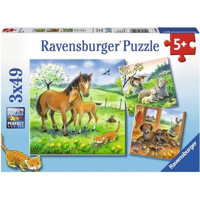 Spiel 618.0